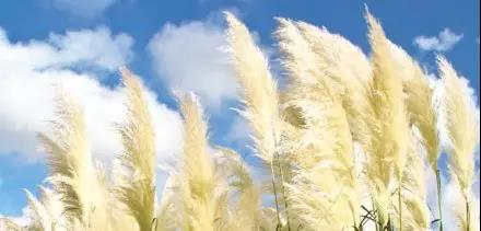 微信图片_20181011151723.jpg 微信图片_20181011151723.jpg