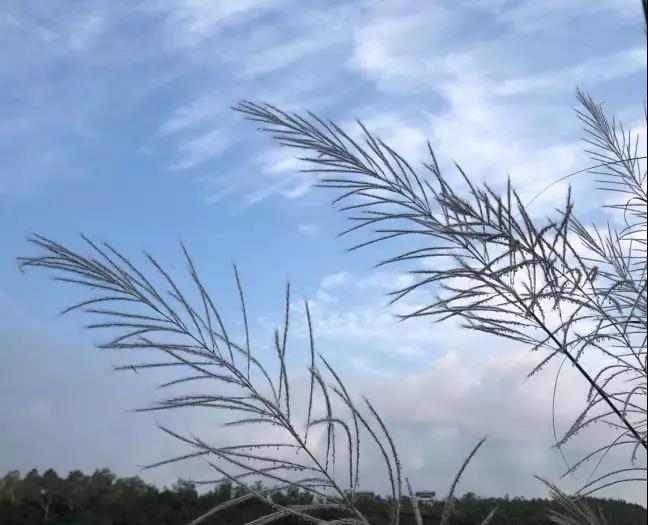 微信图片_20181011151755.jpg 微信图片_20181011151755.jpg