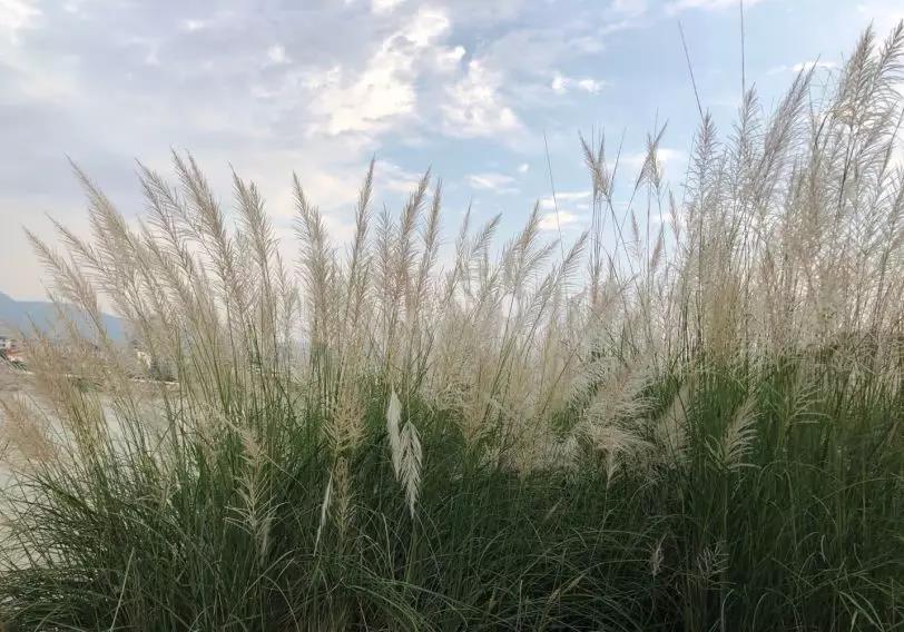 微信图片_20181011151759.jpg 微信图片_20181011151759.jpg