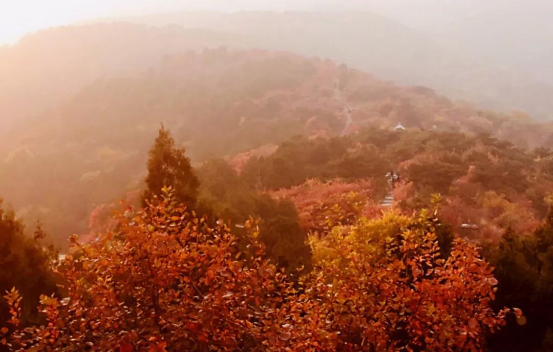 层林尽染1_meitu_2.jpg